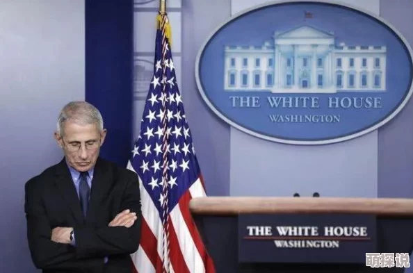 美国式禁忌揭示文化冲突与社会焦虑的根源性探讨