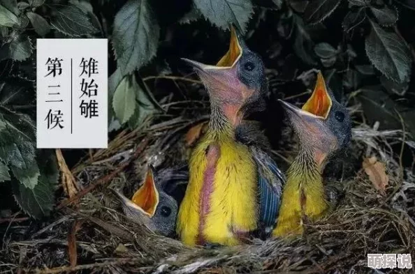 oldwomensexhd禽交