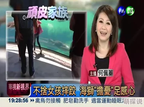 叶凡林美心身陷商业漩涡家族企业面临巨大挑战危机重重