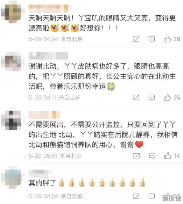 丫丫回家一年从YY胖成YY网友分析食谱变化环境改善和悉心照料是关键