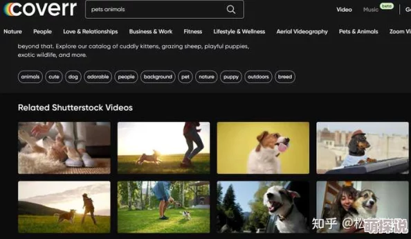 欧美视频二区为什么画质高清内容丰富题材广泛深受用户喜爱