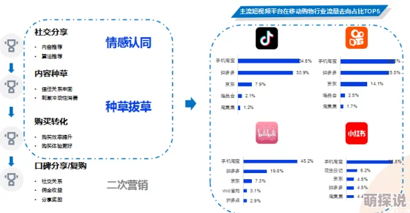 榴莲视频网站为什么加载速度快告别卡顿为何获得用户一致好评