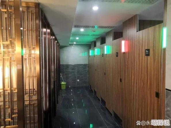 中国公厕toilet美女沟为什么挑战道德底线为何备受关注