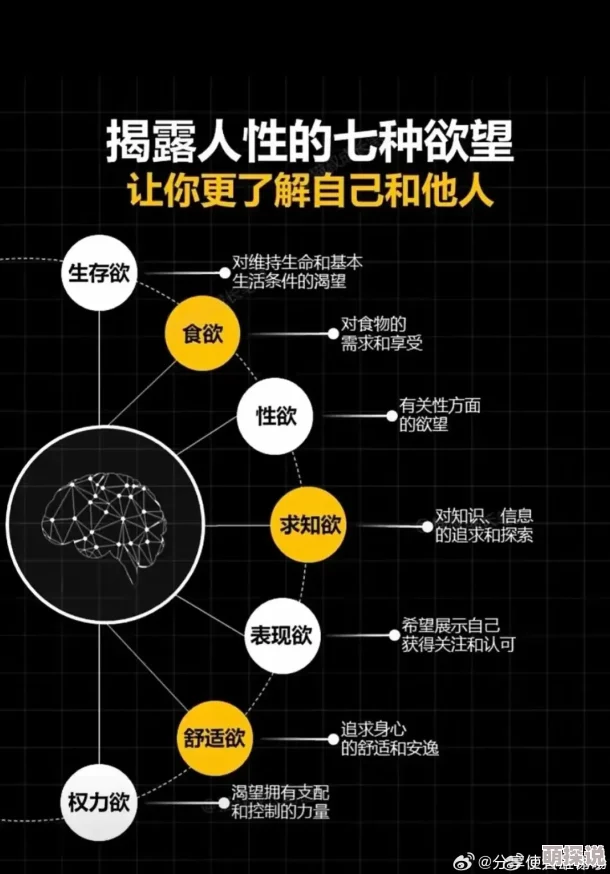 奇米77以其对人性和社会的深刻洞察为何引发广泛共鸣