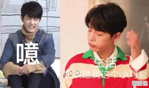 最近中文字幕免费8画质模糊内容陈旧更新缓慢资源有限体验不佳 最近中文字幕免费8画质模糊内容陈旧更新缓慢资源有限体验不佳