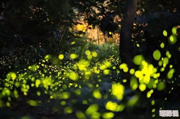 黄色一几片秋日落叶漫天飞舞元宇宙技术加持虚拟现实体验感拉满 黄色一几片秋日落叶漫天飞舞元宇宙技术加持虚拟现实体验感拉满