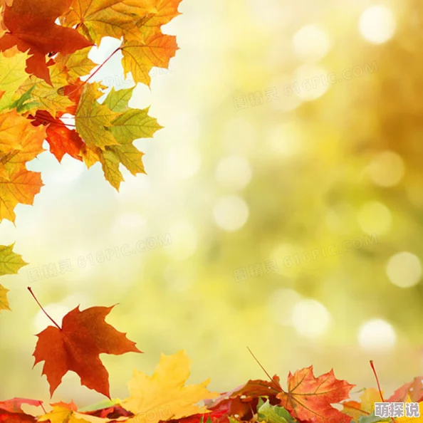 黄色一几片秋日落叶漫天飞舞元宇宙技术加持虚拟现实体验感拉满 黄色一几片秋日落叶漫天飞舞元宇宙技术加持虚拟现实体验感拉满