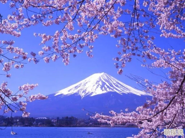 Japan.av2025沉浸式虚拟旅行体验带你畅游东瀛 Japan.av2025沉浸式虚拟旅行体验带你畅游东瀛