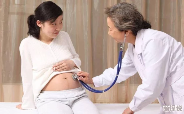 全部孕妇丰满孕妇孕交2025孕期健康指南营养运动胎教课程推荐 全部孕妇丰满孕妇孕交2025孕期健康指南营养运动胎教课程推荐